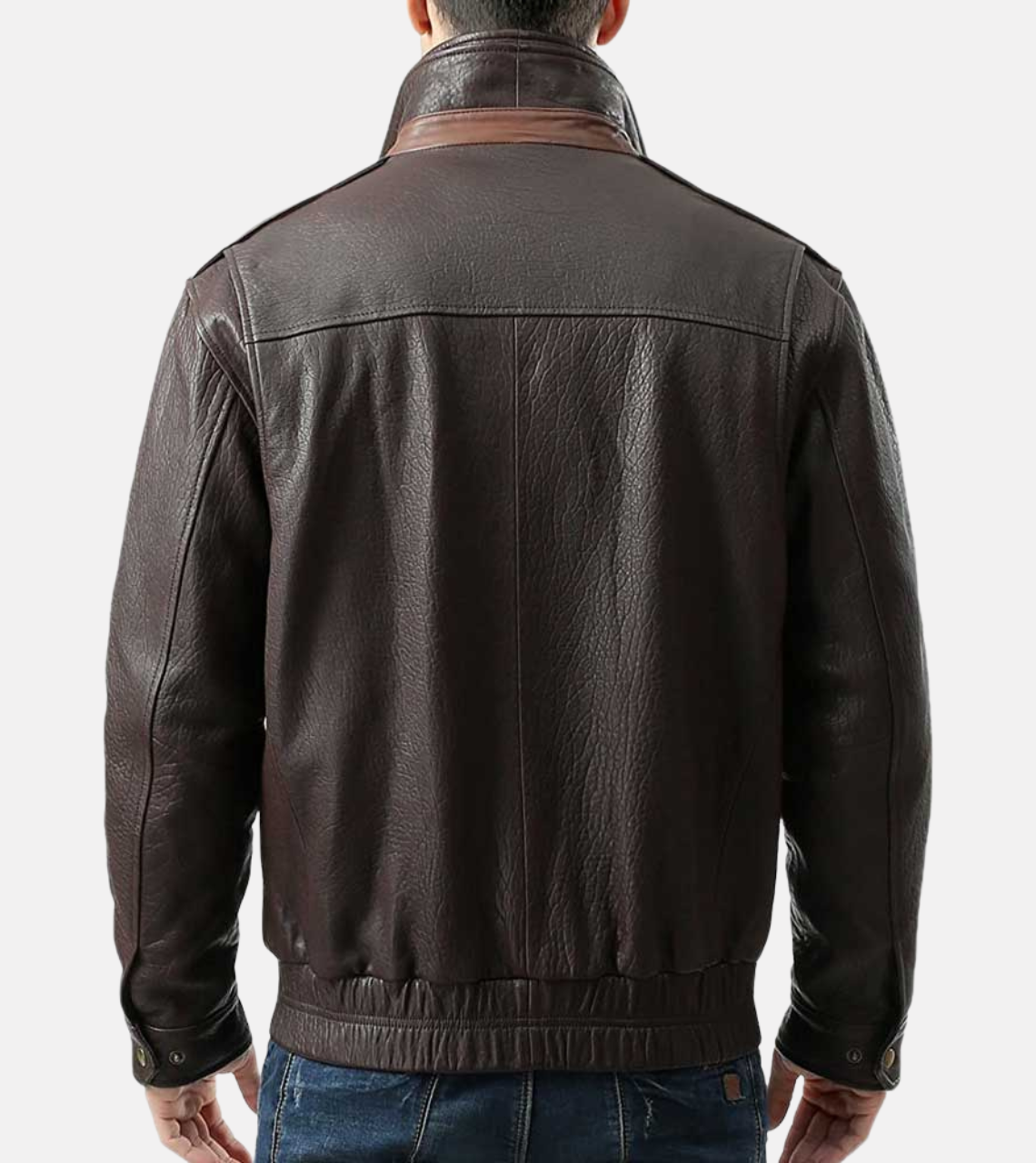 Notch Collar Men's Leather Bomber Jacket back